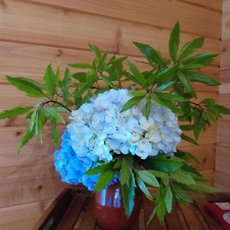 Quinta Da Pavoa - Cottage House ヴィラ・フランカ・ド・カンポ エクステリア 写真