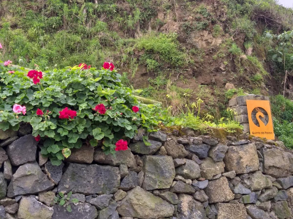 Quinta Da Pavoa - Cottage House ヴィラ・フランカ・ド・カンポ エクステリア 写真