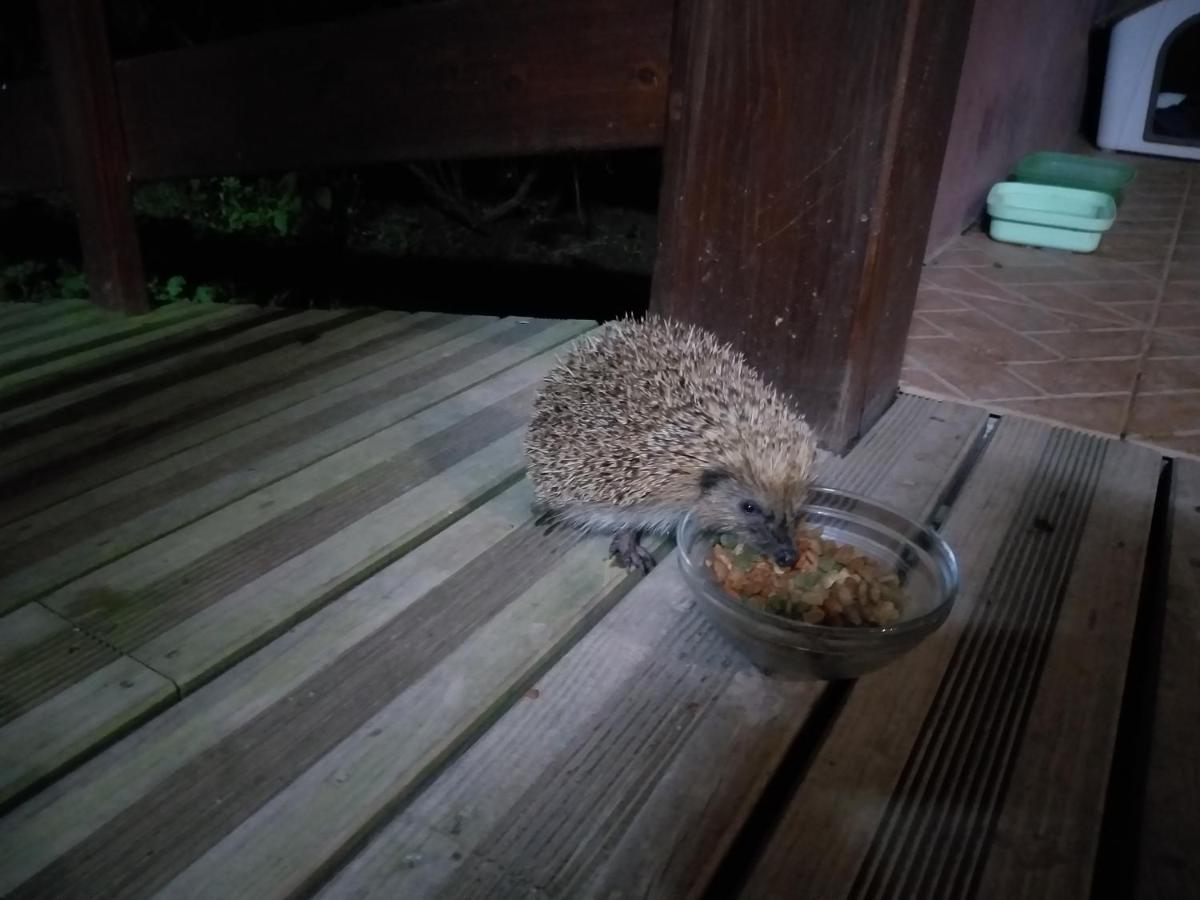 Quinta Da Pavoa - Cottage House ヴィラ・フランカ・ド・カンポ エクステリア 写真
