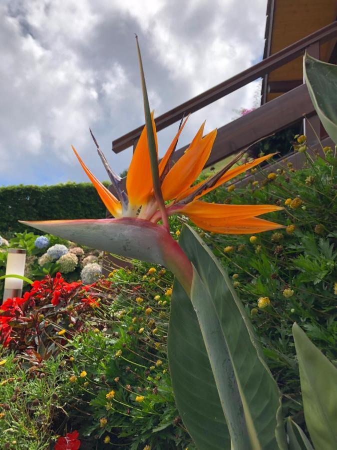 Quinta Da Pavoa - Cottage House ヴィラ・フランカ・ド・カンポ エクステリア 写真