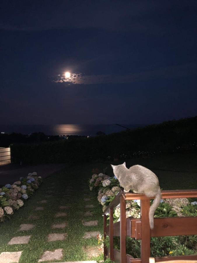 Quinta Da Pavoa - Cottage House ヴィラ・フランカ・ド・カンポ エクステリア 写真