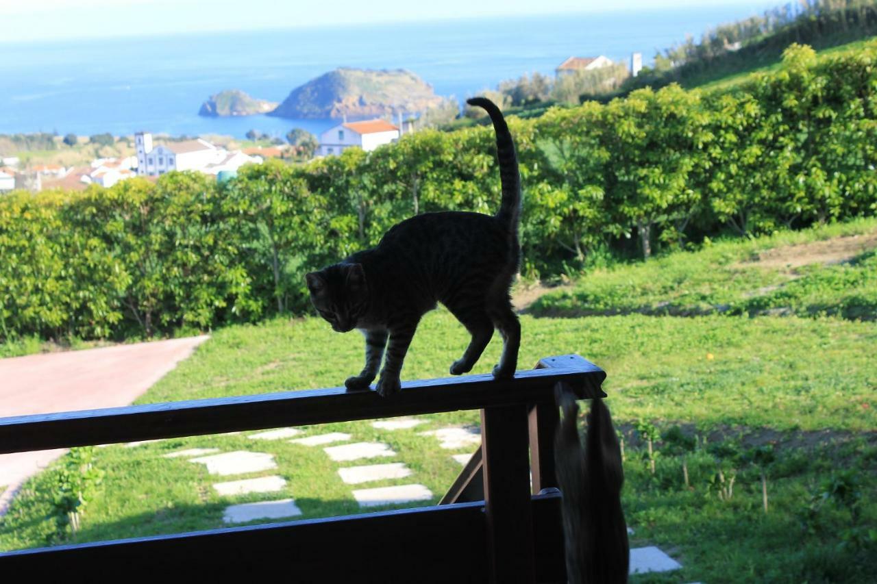 Quinta Da Pavoa - Cottage House ヴィラ・フランカ・ド・カンポ エクステリア 写真