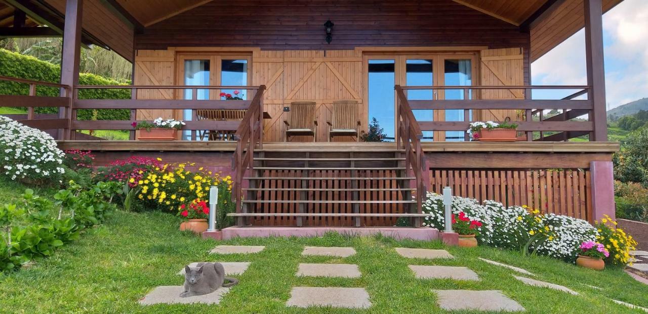Quinta Da Pavoa - Cottage House ヴィラ・フランカ・ド・カンポ エクステリア 写真